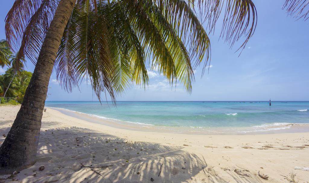 Lantana Barbados Condos Сейнт Джеймс Стая снимка